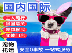 首都航空快运国际宠物托运 【国